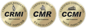 Steri Mobile Mold Removal Montreal Certification