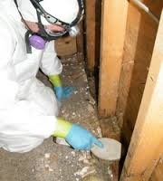 Attic mold removal montreal