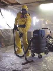 Attic mold removal montreal