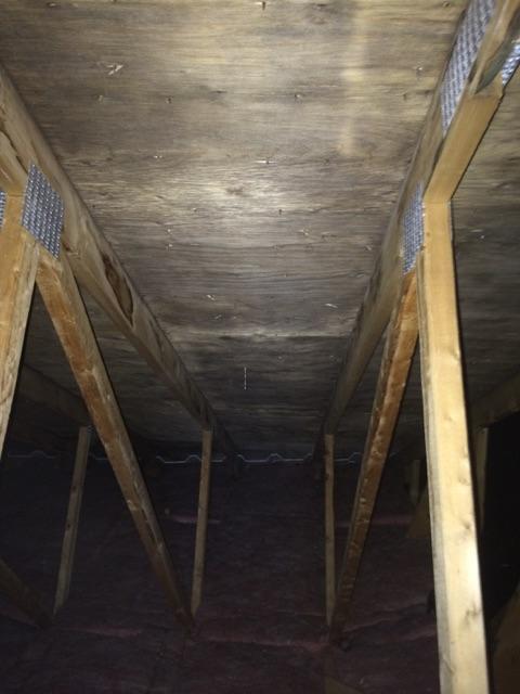 Attic mold removal 3 - Before