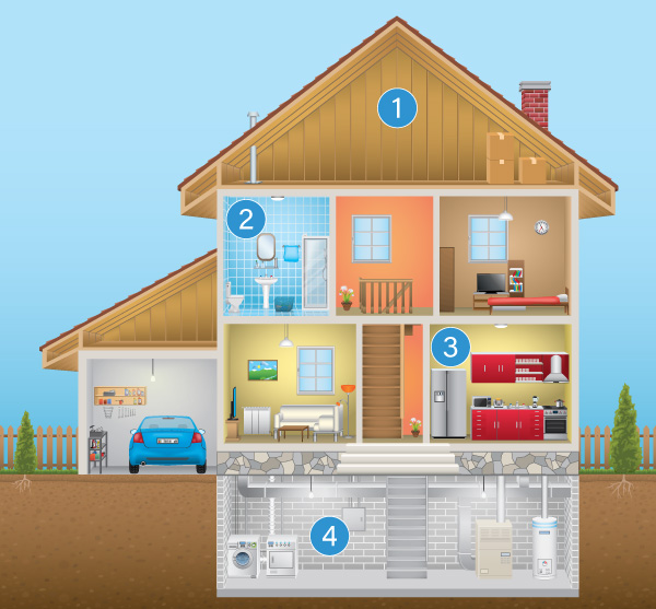Infographic: Home Mold Removal and Odor Treatment House