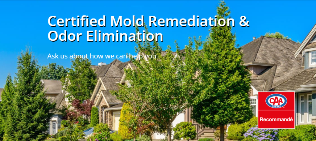 Certified Mold Remediation & Elimination