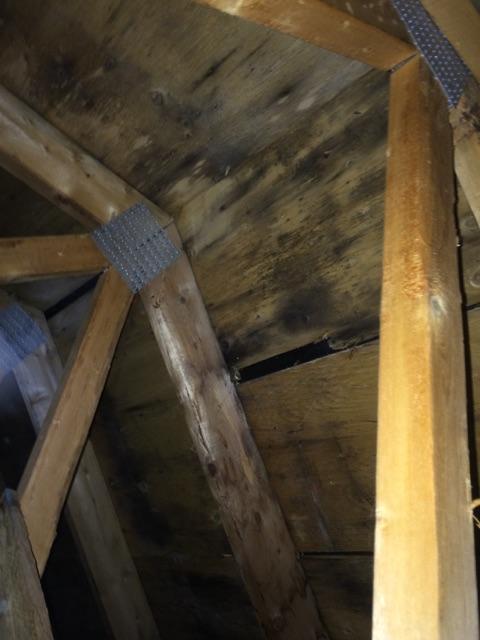 Attic mold removal 1 - Before