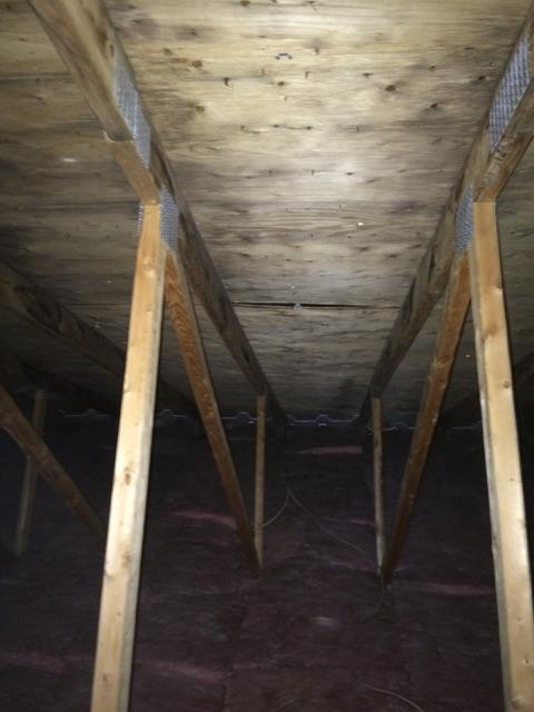 Attic mold removal 2 - Before