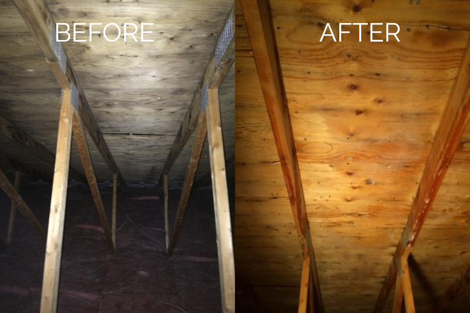 before and after attic mold remediation and removal in Montreal