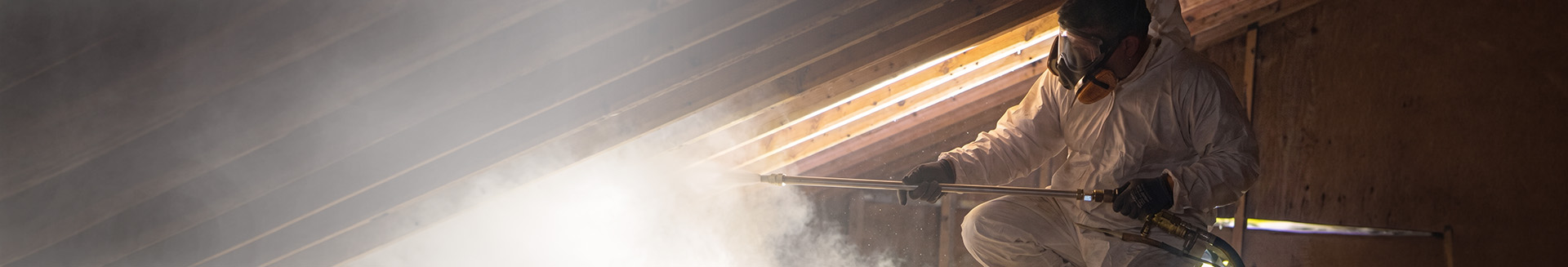 Mold Removal Banner